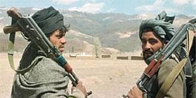 دولت بدنبال بديل برای طالبان