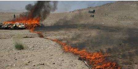 چرس فروشان دوصدو شصت هزار کیلو چرس را آتش زدند؟!