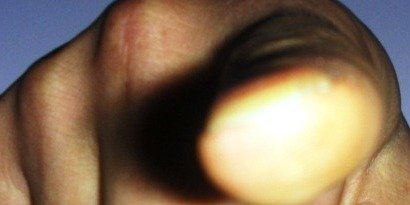 این 17 تن قرار بود تحت پیگرد باشند