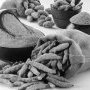 گياه زردچوبه و پیوند تاریخی آن با نخستین نقاشی های رنگ روغن جهان در بامیان (…)