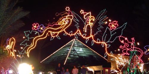  جشن نور به روایت تصویر 