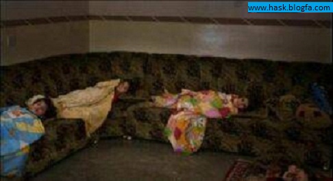 local/cache-vignettes/L486xH264/0-57351400132240-7921a1f1-97bd9.jpg?1748120400