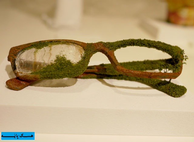 local/cache-vignettes/L640xH468/D8B3D984-DAA9D98-a3a90190-8db73.jpg?1748130280