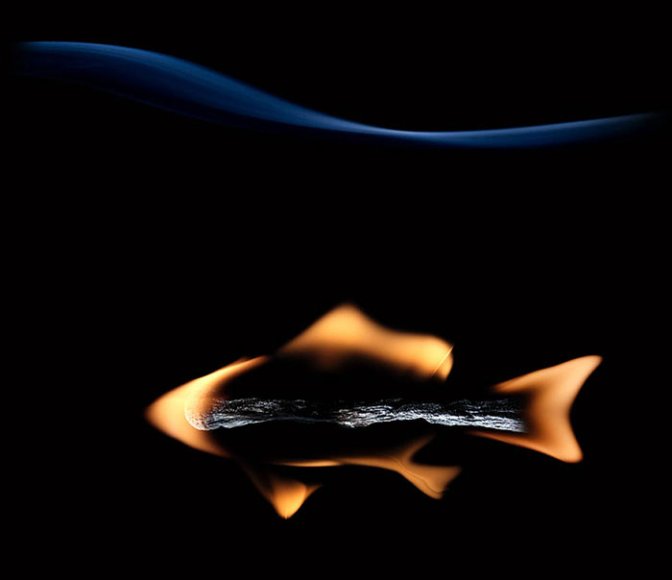 local/cache-vignettes/L672xH580/D8A7D988D8B1D984-9cbb8ebd-a99cf.jpg?1748130242